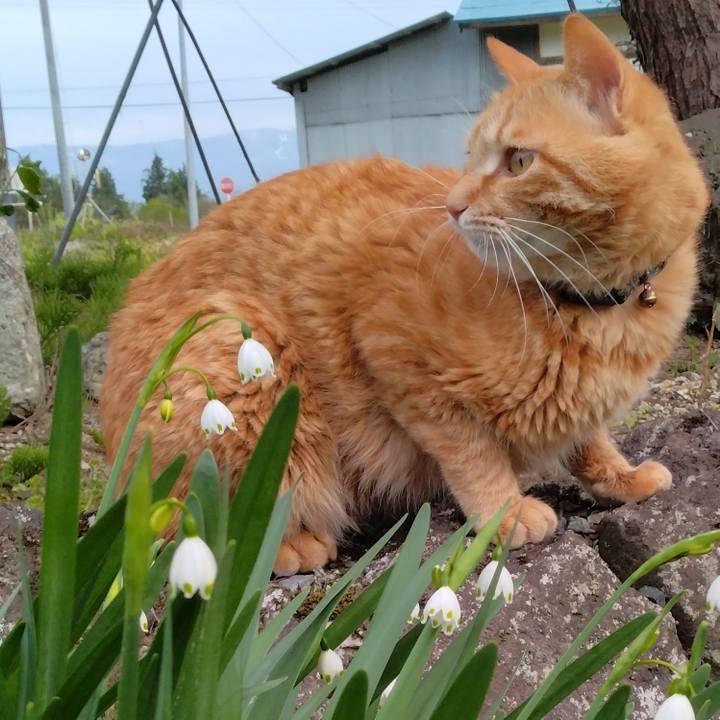 D903b321 6025 414a a9fd ddce0c7172f7 1682759523316