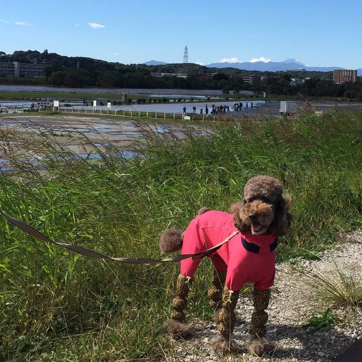 D90407cd 38bf 4a3c b429 4a8a3631f4b9 1508738091972