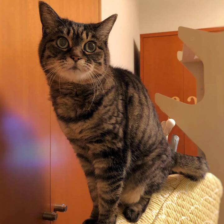 D9045a78 9cf1 4d25 9099 58720d1e3bde 1768567814590