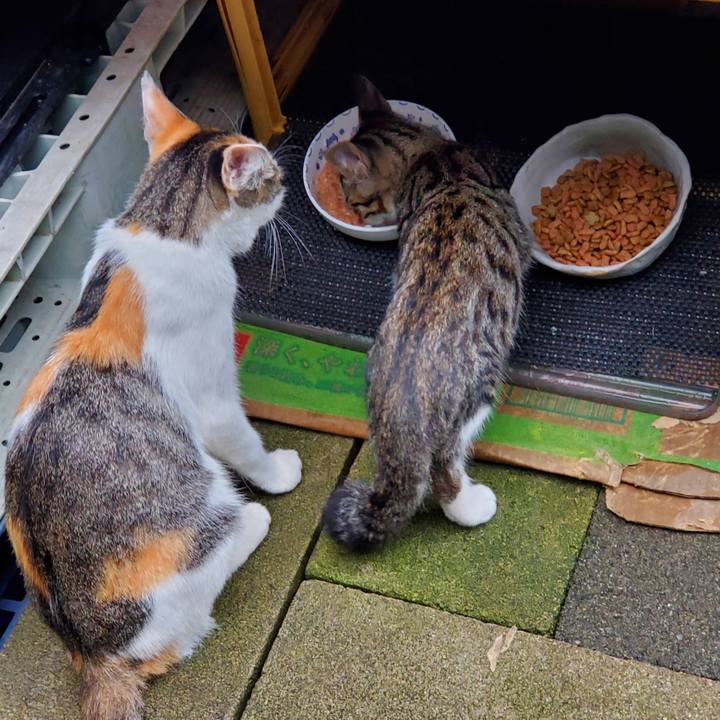 D90480a3 09b0 4945 af21 bb150cde82ac 1728031648400