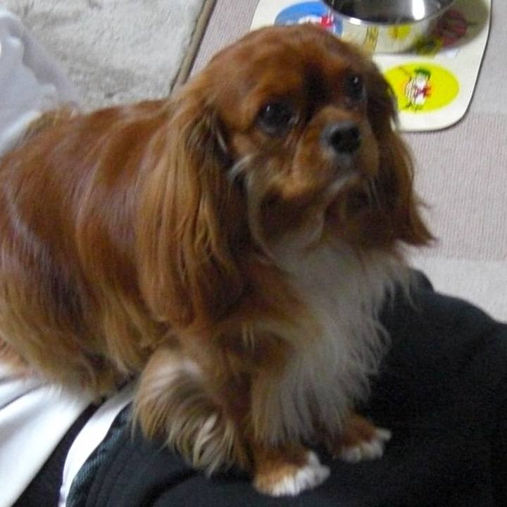 D9049285 005d 4540 ab67 d61e91af5b20 1516227125031