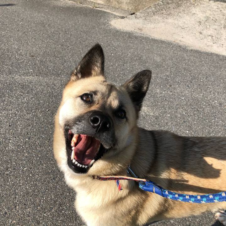 D904b7e9 94de 4f9b abf2 8c1e455c2793 1525945277813