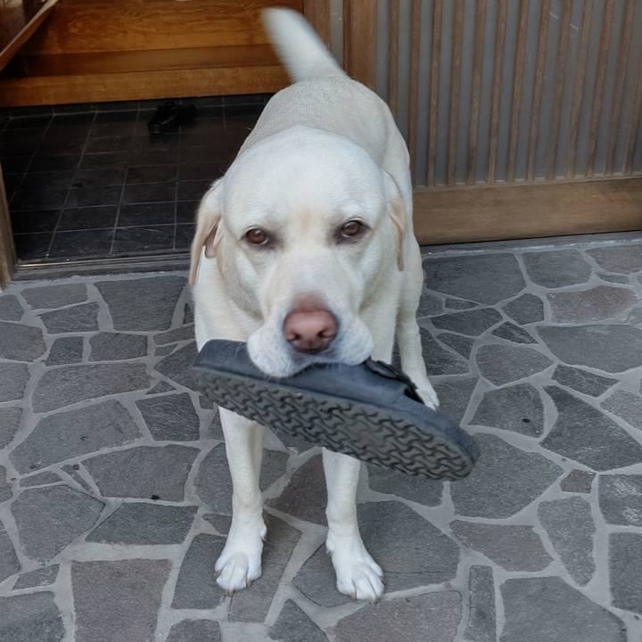 D904c117 aaf4 4c79 8d14 f0453c12c6bc 1593158681754