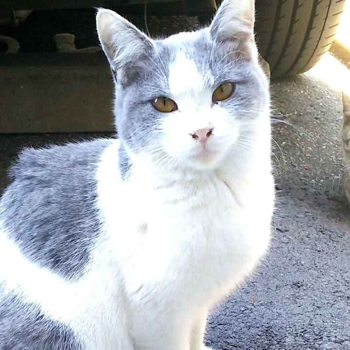 D904f6f1 a5a7 4ba2 bfa6 db97a24f264c 1512280536934