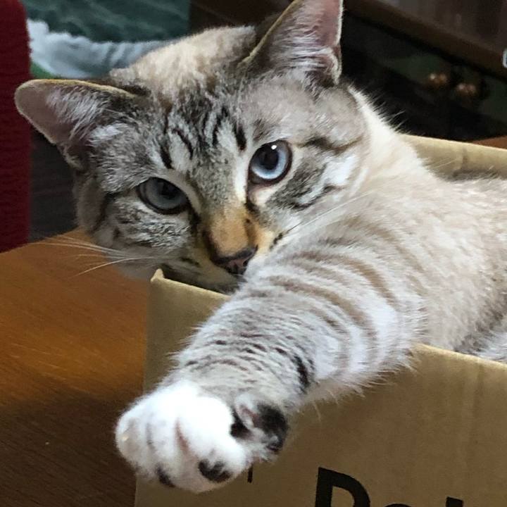 D9050993 4f2b 4d1c 8e28 7dd828d95169 1621606715809