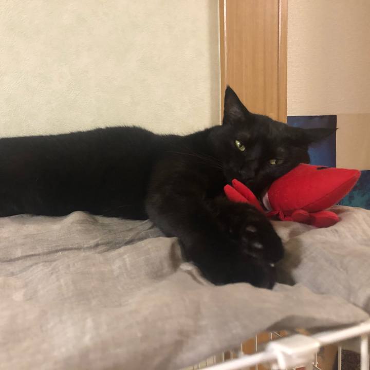 D90529dc f7b2 4493 935e 30150e80185e 1597323486514