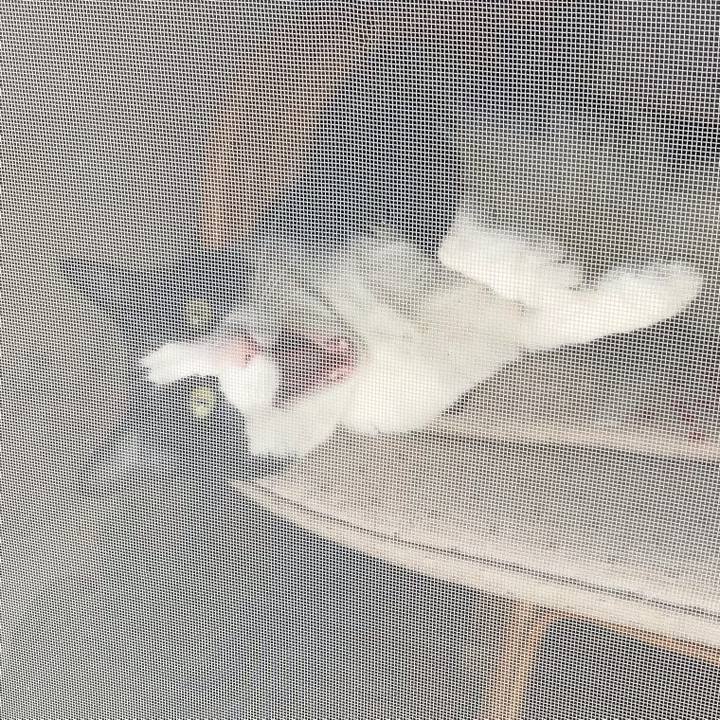 D905603c 1e6a 48e8 85c5 6a9b15917fdd 1715409521515