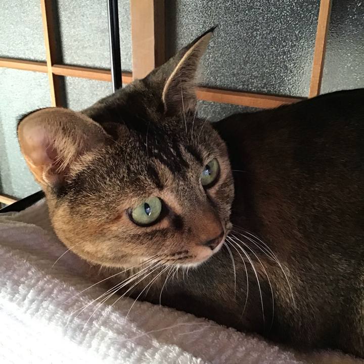 D9058c11 e27a 4793 8a7d 6f5d6a0f6e6f 1636536477391