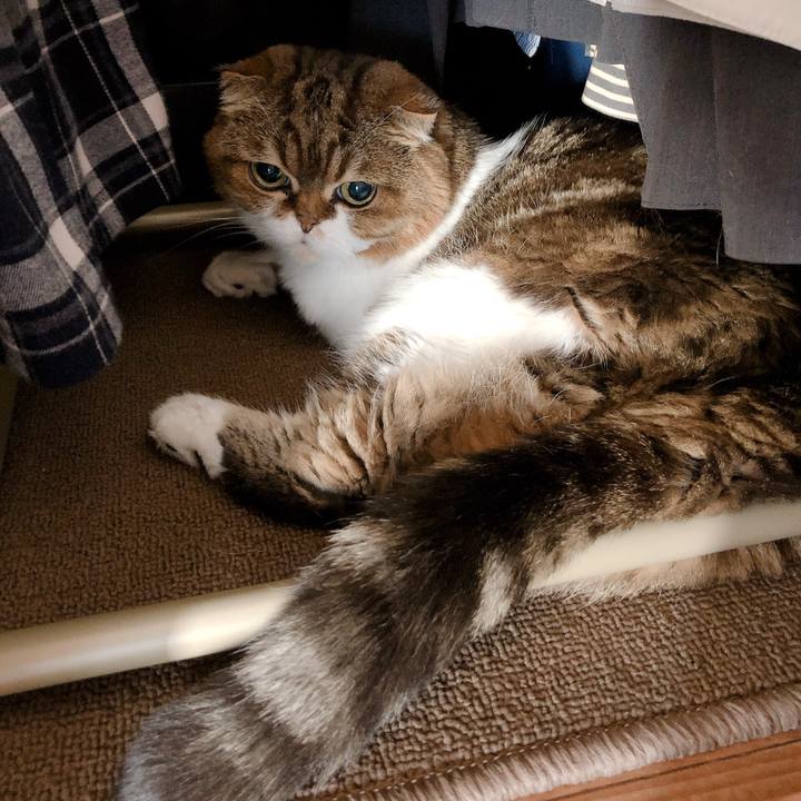 D905bc6f 7aa8 40a8 8ee4 243c114f7118 1570247746458