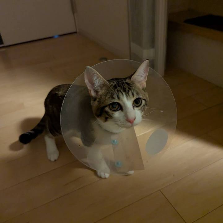 D905c3e3 6bbd 403b 8624 aeaa458ef459 1737021362137