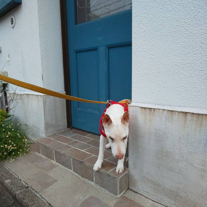 D905d5f4 ed0f 4ea5 ae4f 47bb1bbc46d4 1562102810622