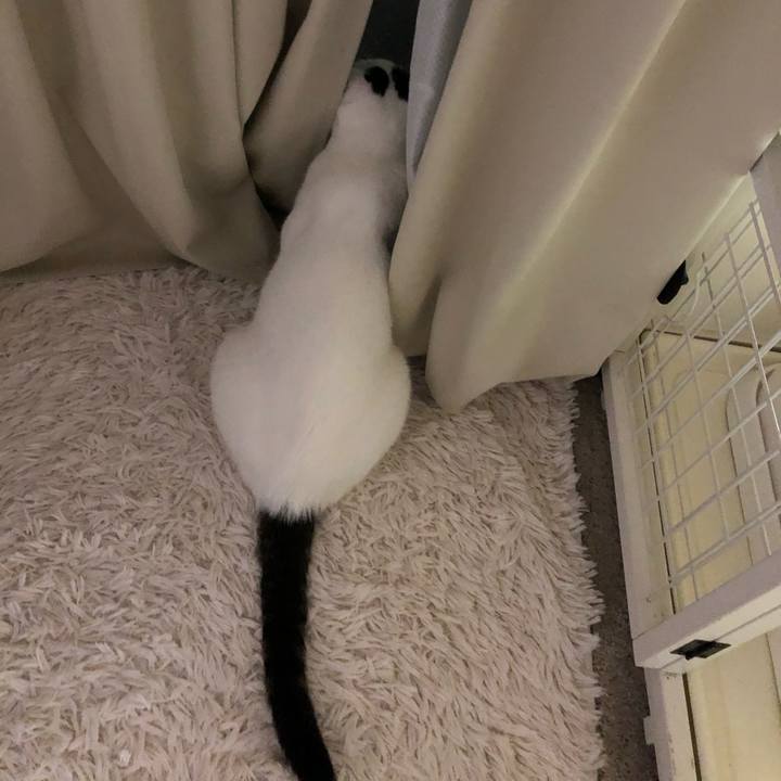 D9060701 a7de 4023 af4d 892efb9dc48c 1570881785182