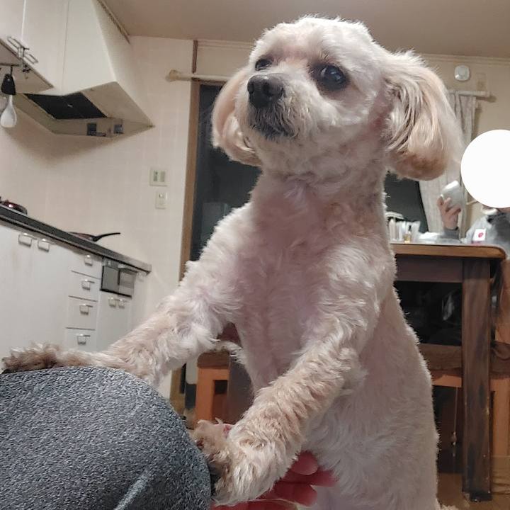 D906078f 8ac1 4626 ab37 cd33b1051233 1680430015596