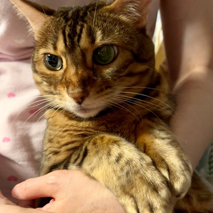 D906104d 41d4 4274 b78b 2f2381a3af1b 1655875309903