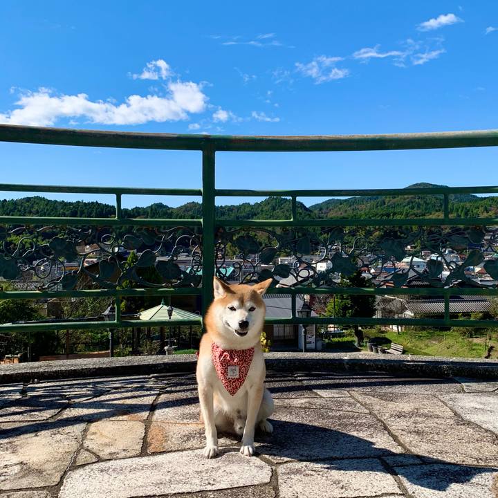 D9061b17 7e2c 4bc3 aad9 5a84e9315039 1666255726959