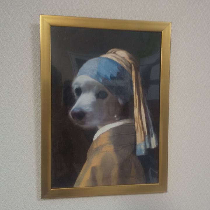 D90645a7 2504 4240 bbfc 16830c51623a 1639900149716