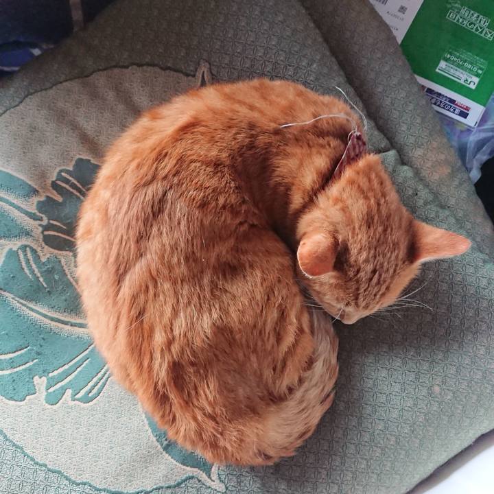 D9065611 4a5d 4112 b55e 652cf8362b0d 1566633512891