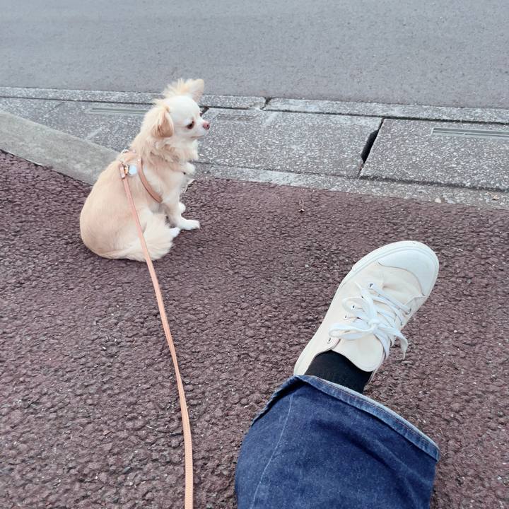 D9067549 6e2e 46bb 97fe 56977ff7a0d4 1718791941977