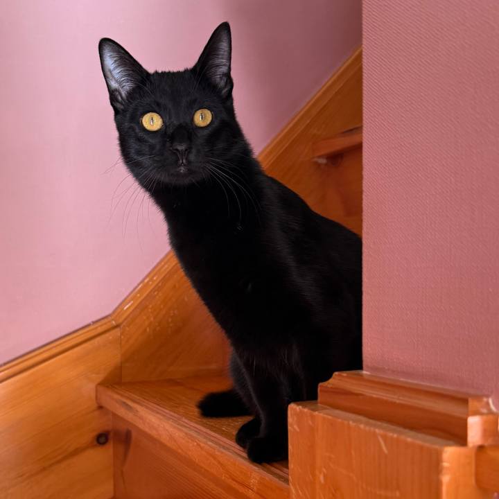 D90681fe 5676 473b aa21 32af70d69938 1764979454929