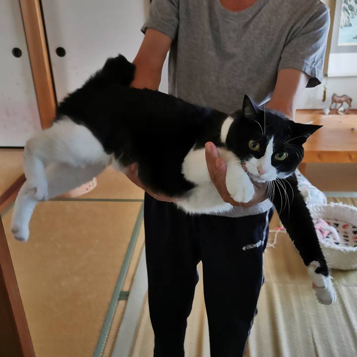 D9068b03 13ae 489f a999 6e38bd16f43c 1633060789455