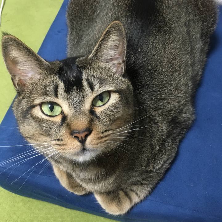 D906ae0a 4b32 4ea0 9d98 7497de7e6f12 1526052629245