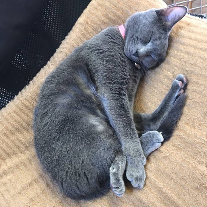 D906cc17 9c71 46a1 87b7 630f83f59a59 1546572737582