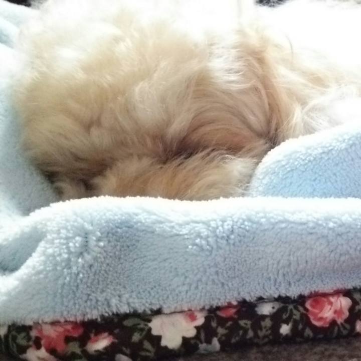 D906fe2d d109 4836 8f6a 4481aa452e63 1526644171138