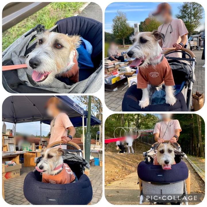 D90737e3 69ce 4d8d b2f2 6546d5792810 1666597354173