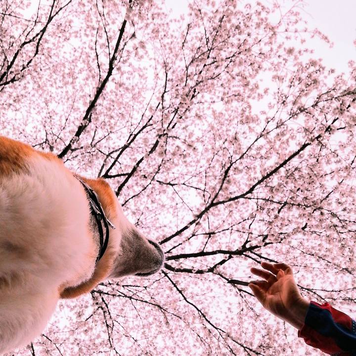 D90762d6 3791 4661 b7d6 6f86e81af5c7 1585293346695