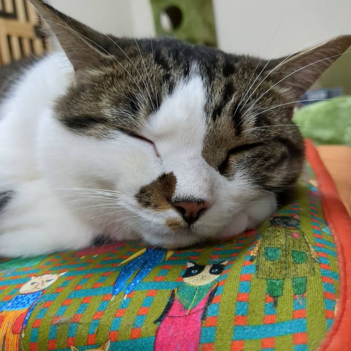 D907889f f1cd 4ad6 a113 df2f9bf2d3e6 1685447808870