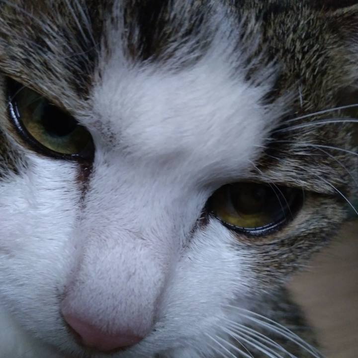 D907963d 1f7d 4f89 a4ce de55bc535776 1527085744175