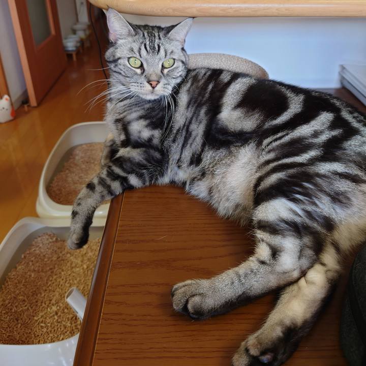 D907ab19 476c 405c b8a5 8f66d224ecfd 1646796189988