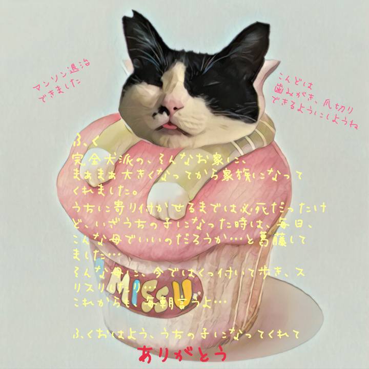 D907d7fb e1dd 4acc b83d d3c2f36a99c6 1549119868664
