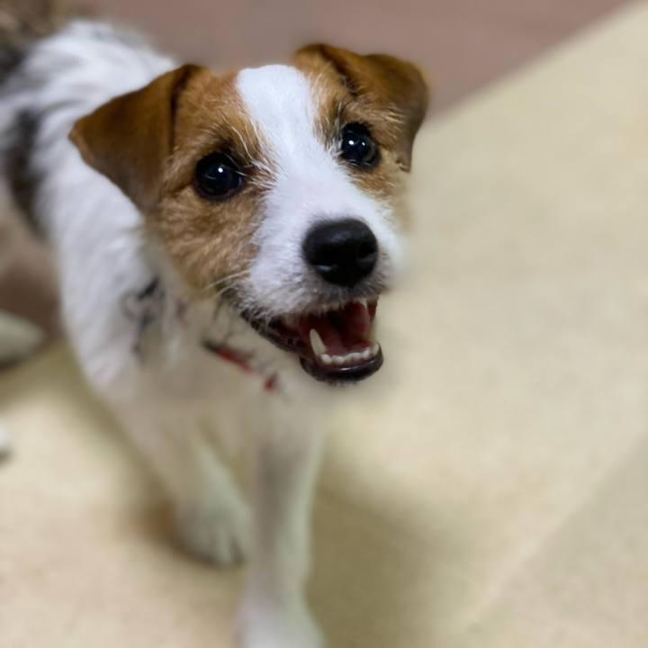 D90804f8 520f 4f7c 9739 7ebd90901356 1628303207409