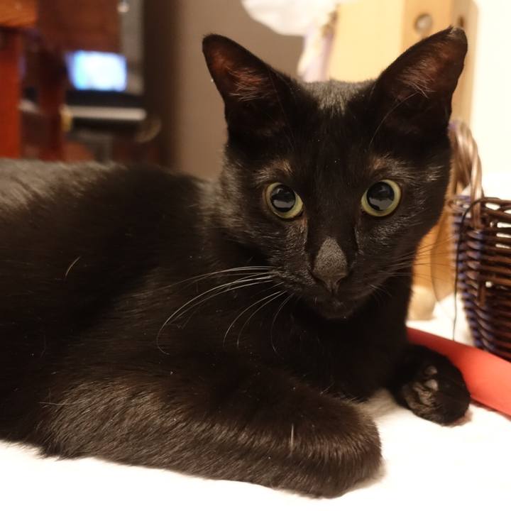 D9081c8f 861c 46d8 9ab2 e6f8d7b5f6fd 1526951789155