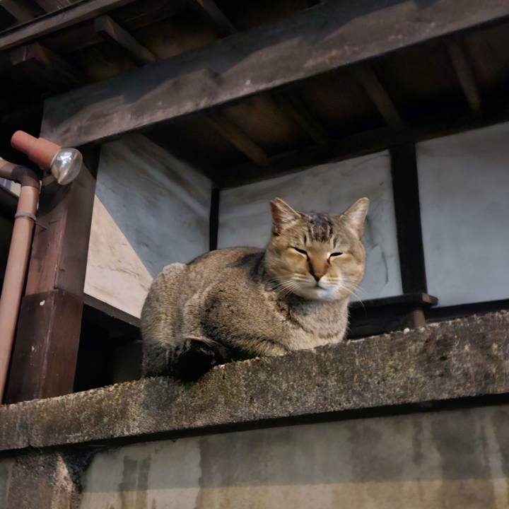 D9083001 fc3f 4a57 9ee9 9ffa57ea4a7c 1709355728686