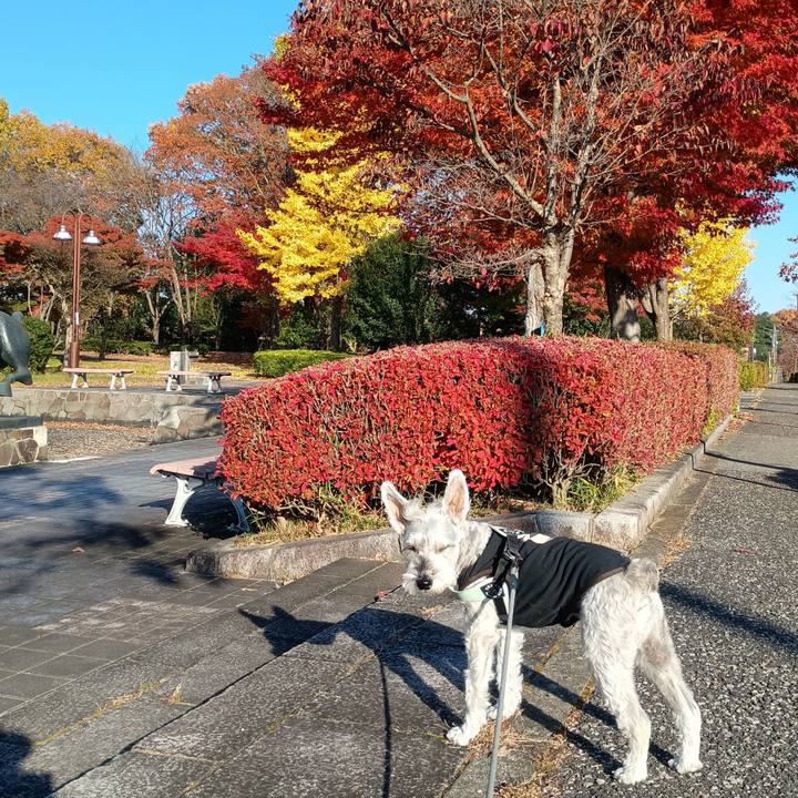 D908351d f6e5 42fb a811 3b67b4ca3e4b 1763382244003