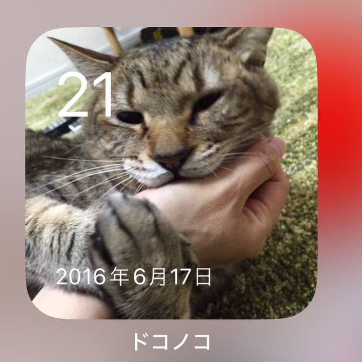 D90840e9 96cc 4cad a4c4 a087b1c8606a 1718972027655