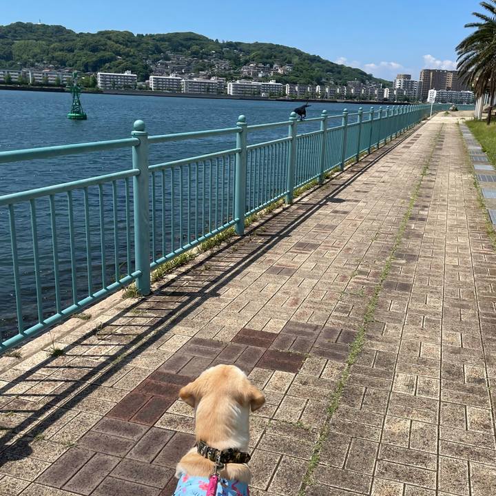 D9084571 f78b 45b1 a755 da4c08a1cce2 1621770871524