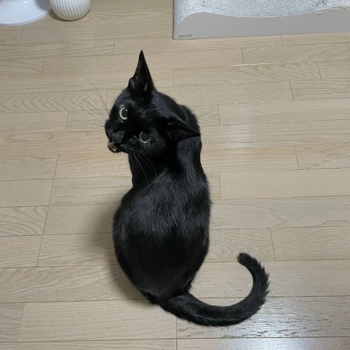 D9086351 d090 4c0b 9ae2 ac358ede280d 1659791592723