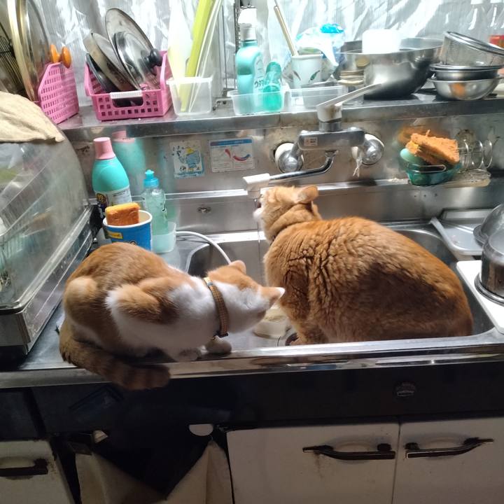 D9087aad 5993 4679 b8f3 aeefd7bc10ef 1732834876520