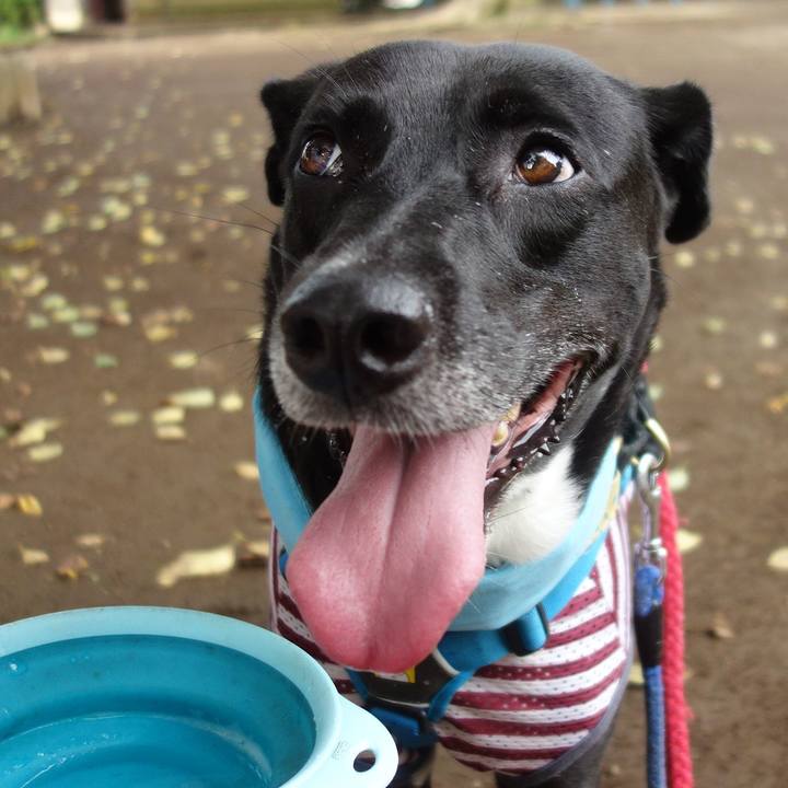 D908a609 11fc 418c 8e4f 79f9777037a1 1628466957382