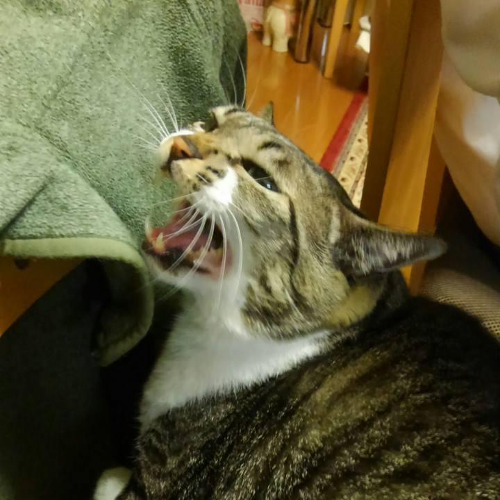 D908c5a7 917e 4739 8684 67becde4346b 1512043153379