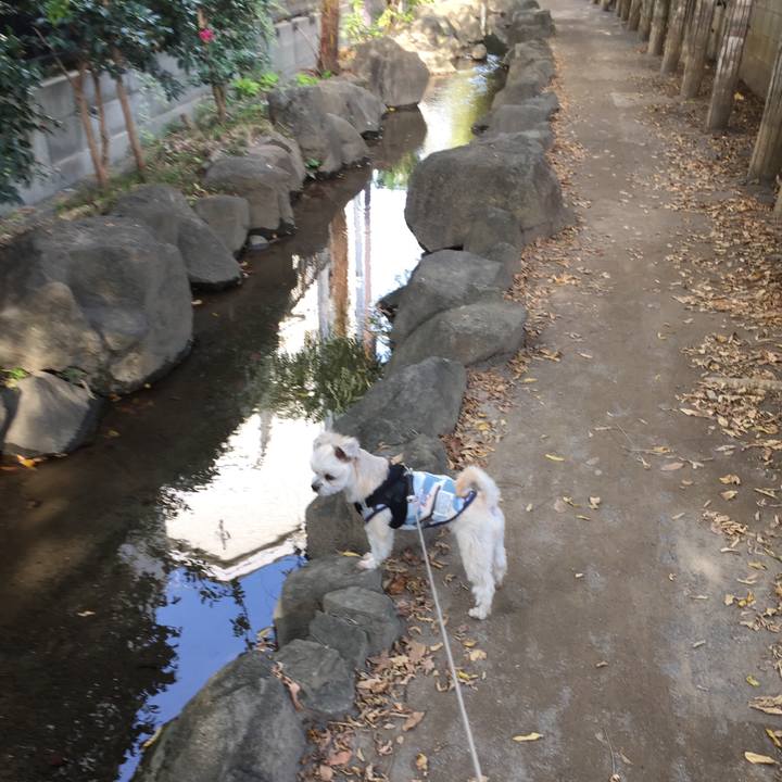 D9095c9a 91aa 4855 a04a 0dea9deaf569 1542351097511