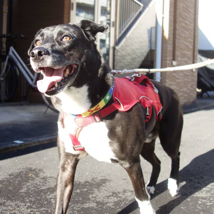 D9097660 0402 48dd 8aeb f8a72e532790 1668559520901