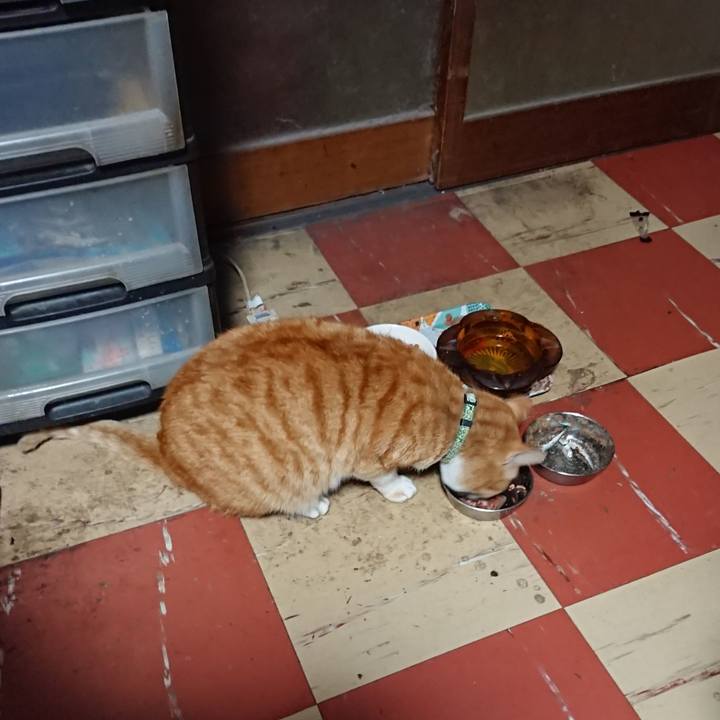 D909c119 46ad 40fd b6c1 a2244120efad 1586289244240