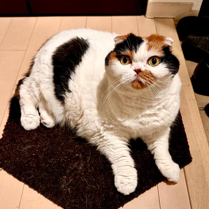 D909c8c2 24e9 464b 8964 2ed06a29a61a 1699273853972