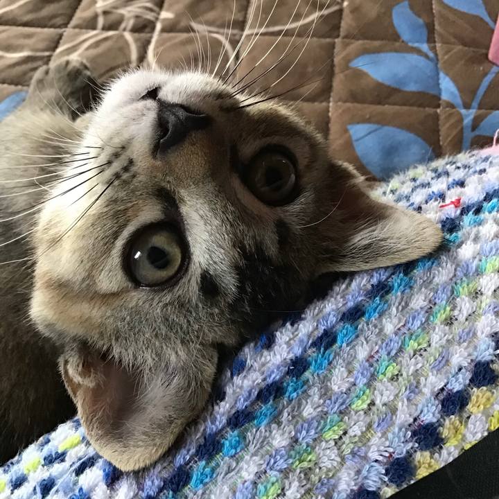 D909d87f 75a6 4ec8 b113 959d9f9ac415 1619920297093