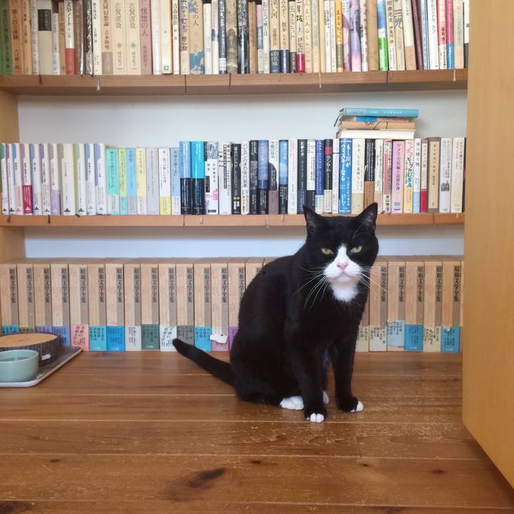 D90a4ebb 53af 497f a84f c0498396ab32 1572827832116