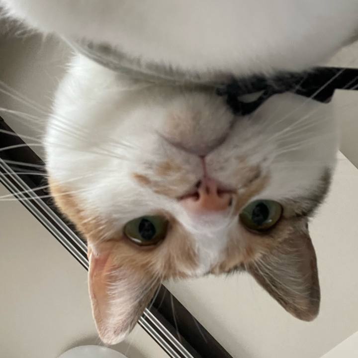 D90a60d8 dd92 45e7 89fe 8dc6523cd8b2 1686627228093